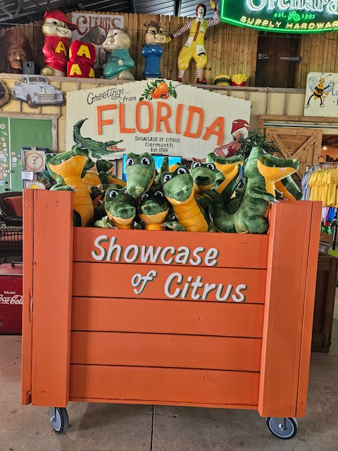 Ally Alligator plush at Showcase of Citrus
